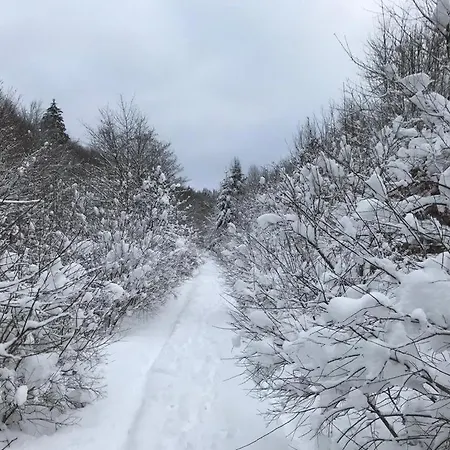 Sports Tower 30-2 Apartment