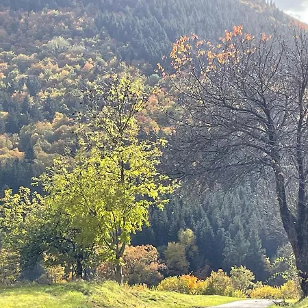 Apartment Sports Tower 30-2 *