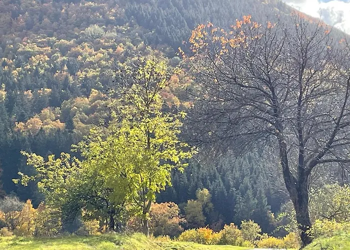 Apartman Sports Tower 30-2 *